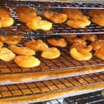 Bright orange apricots laid in the trays of a Cabelas brand commercial dehydrator.