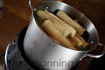 A large stock pot filled with stripped corn cobs.