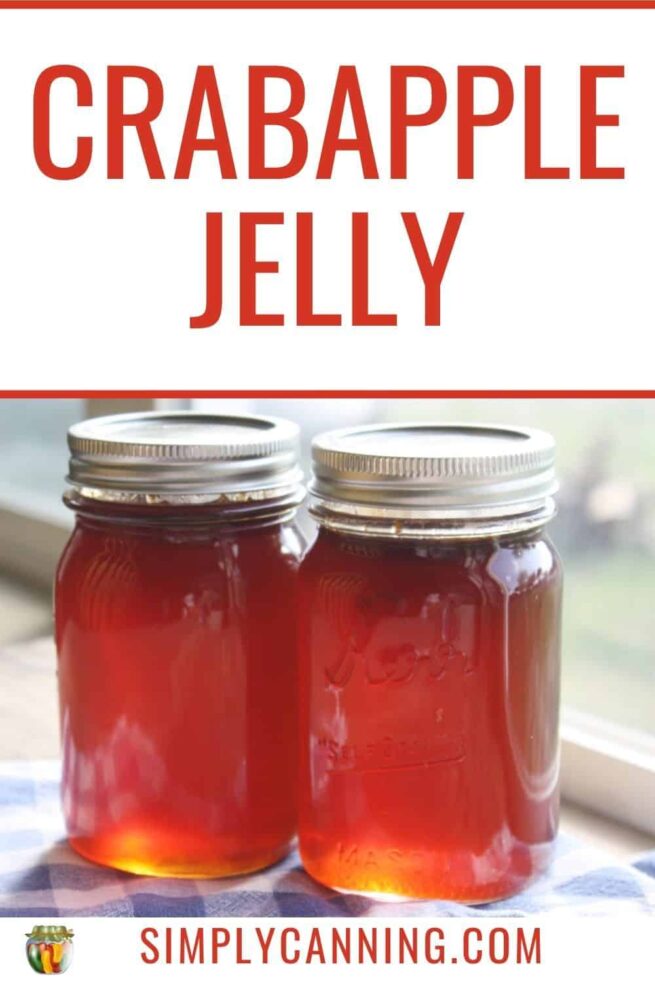 Crabapple Jelly, Easy homemade recipe with canning instructions. - Easy