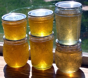Jars of dandelion jelly stacked on a windowsill with the sunlight shining through.