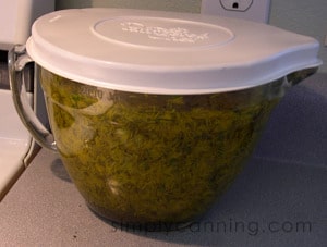 Dandelion flowers and water soaking in a large glass measuring cup.