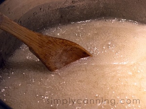 dandelion jelly-15