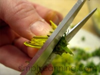 Snipping the stems off the flower heads using a pair of scissors.