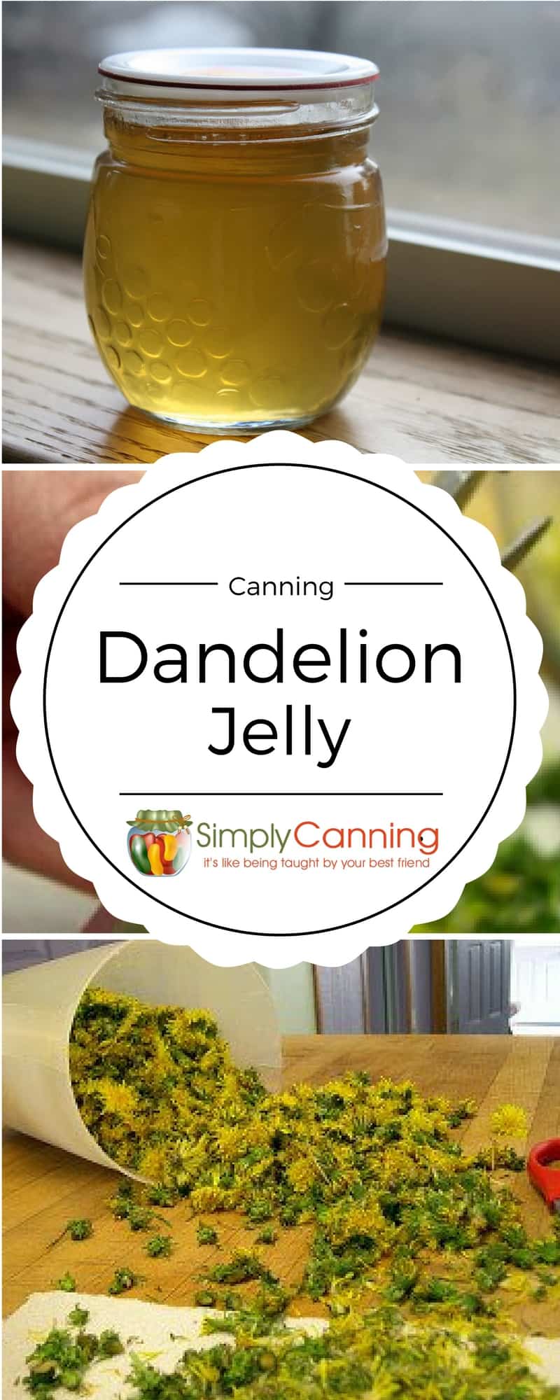 dandelion jelly pin