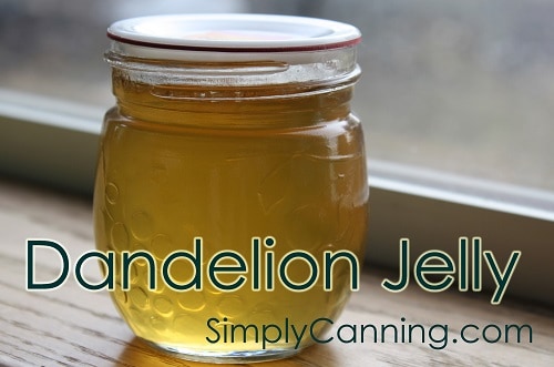 Dandelion Jelly Recipe; Tastes like Honey?