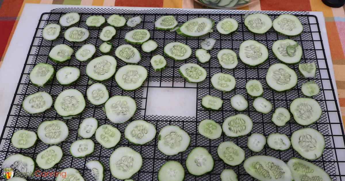 Thin cucumber slices laid over dehydrator trays.
