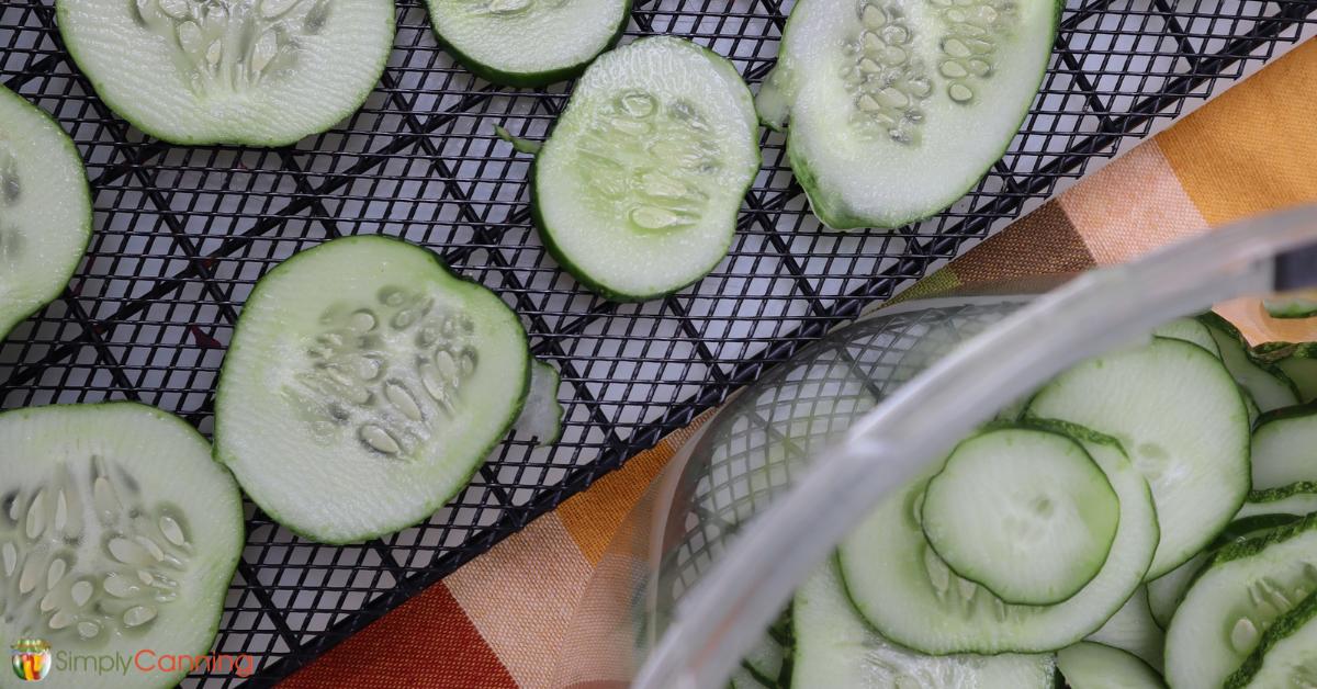Thin cucumber slices on dehydrator trays with a dish of slices to the side.