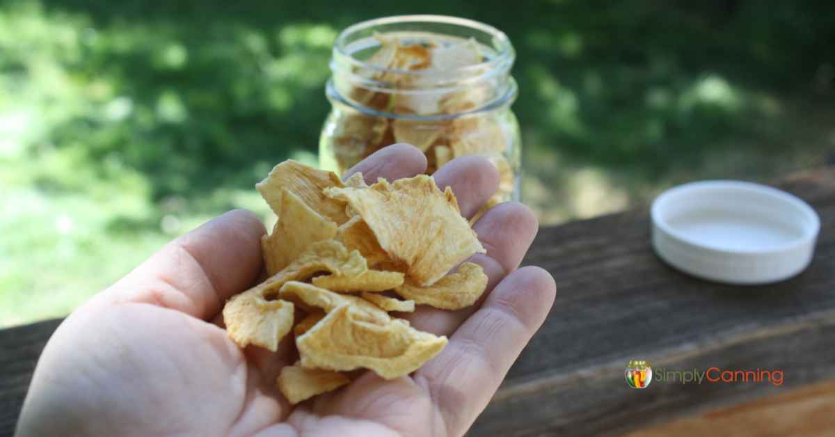 Holding some dried apples in front of a glass jar filled with them.