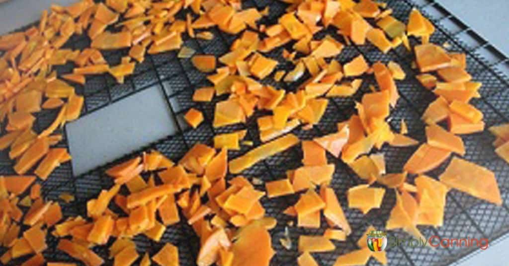 A dehydrator tray covered evenly with bright orange pieces of carrot.