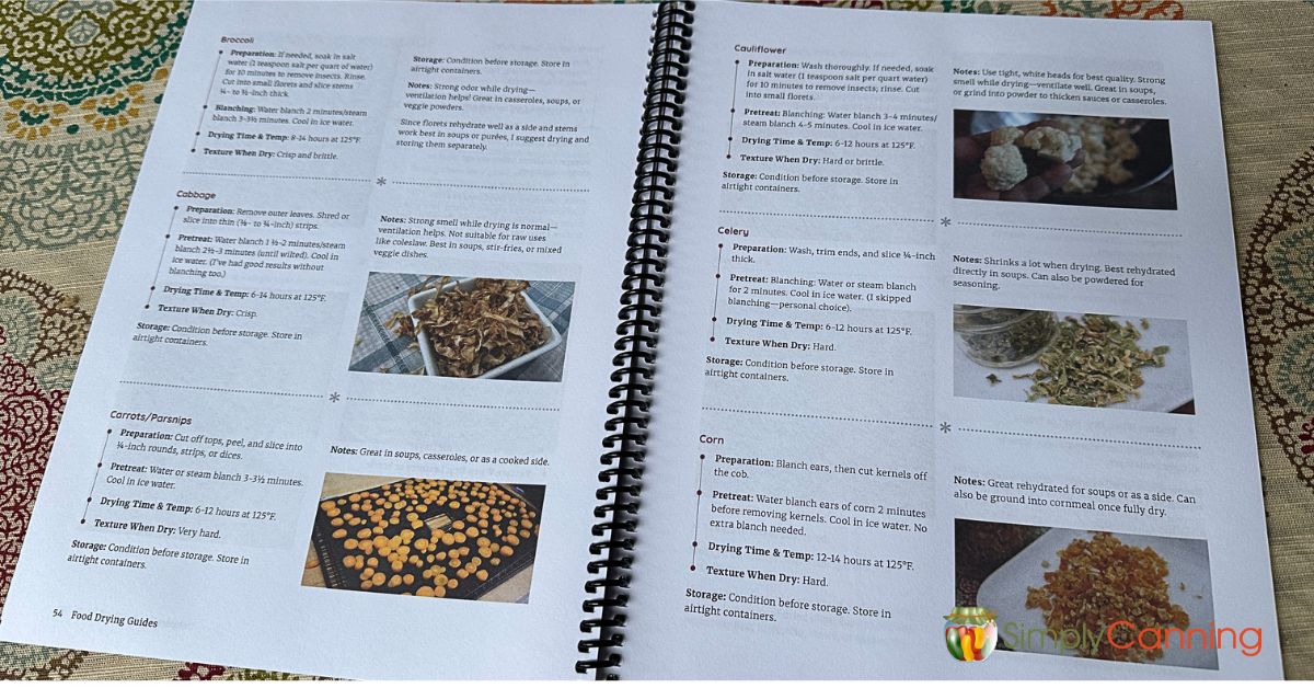 Dehydrating Everyday Foods guide interior pages with drying directions.