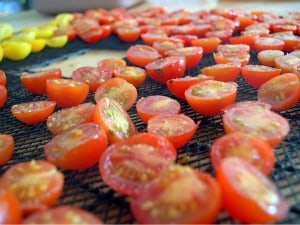 dehydrating food tomatoes