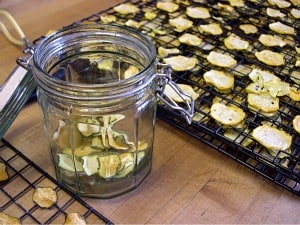 Putting dehydrated zucchini chips into a jar.