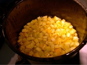 dehydrating foods blanch squash