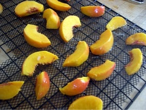 dehydrating fruit peaches