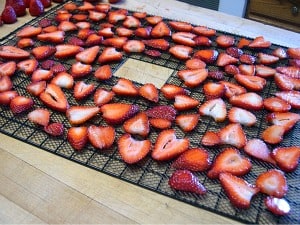 dehydrating fruit strawberries