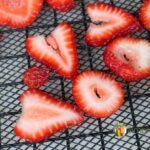 Sliced strawberries laying on a dehydrator tray.