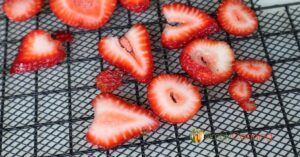 Sliced strawberries laying on a dehydrator tray.