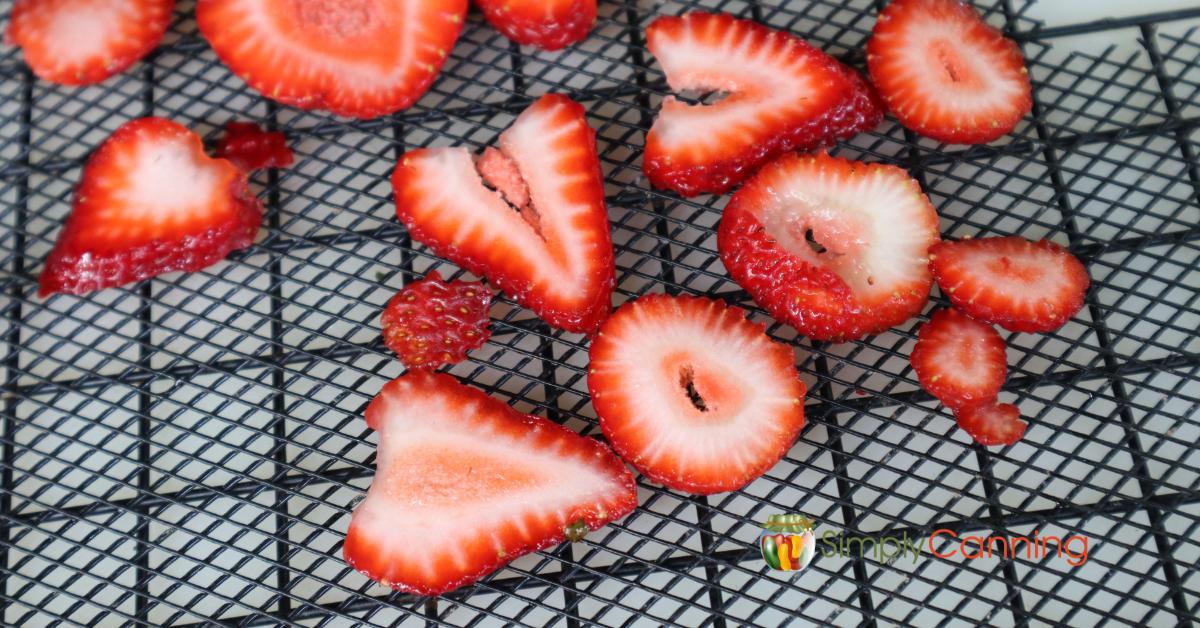Sliced strawberries laying on a dehydrator tray.
