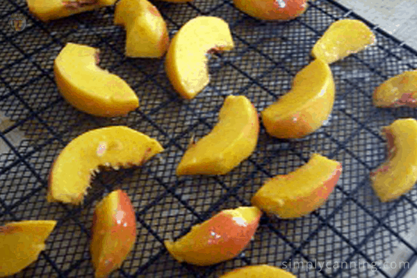 Peach slices on a black dehydrator tray.