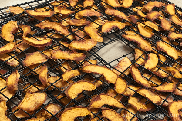 Dehydrated apricot slices on dehydrator trays.