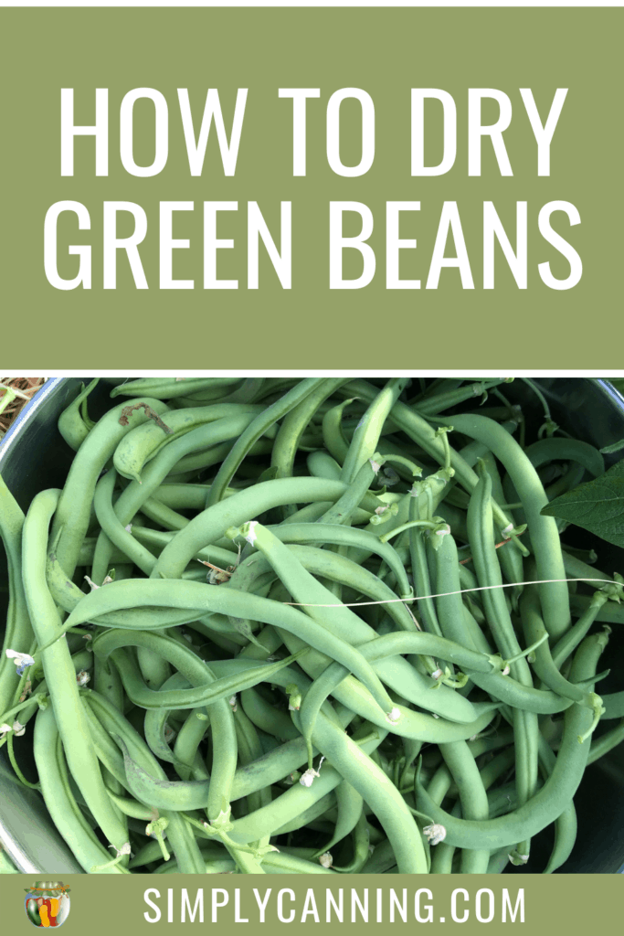 How to Dry Green Beans