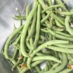 A bowl of freshly picked green beans in the garden.