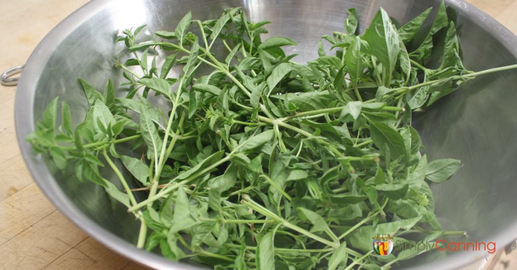 A large stainless steel bowl filled with freshly picked herbs.