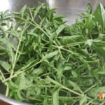 A large stainless steel bowl filled with freshly picked herbs.