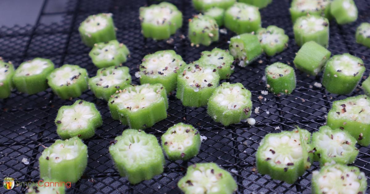 Seasoned slices of okra spread evenly over a black dehydrator tray screen.
