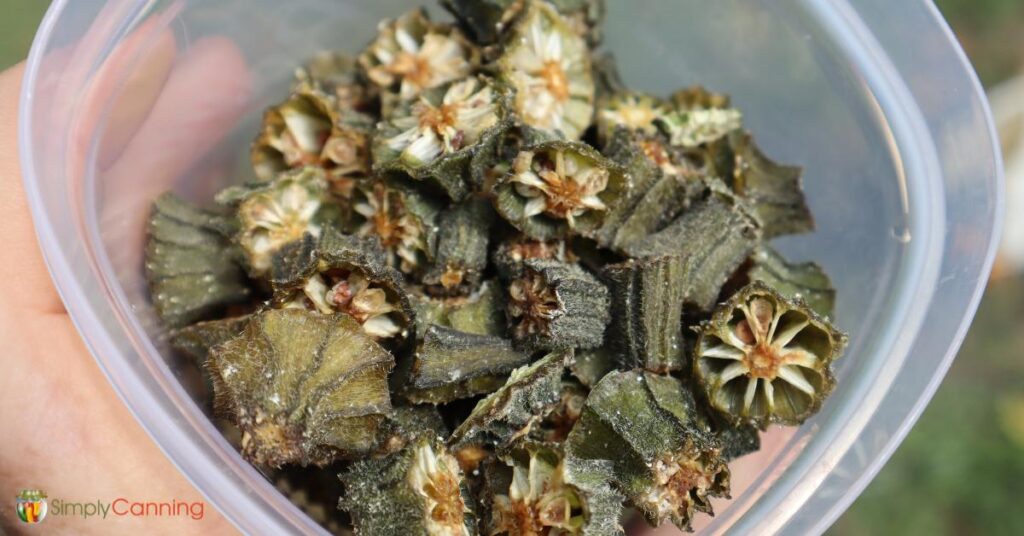 A bowl of crispy dried pieces of okra.