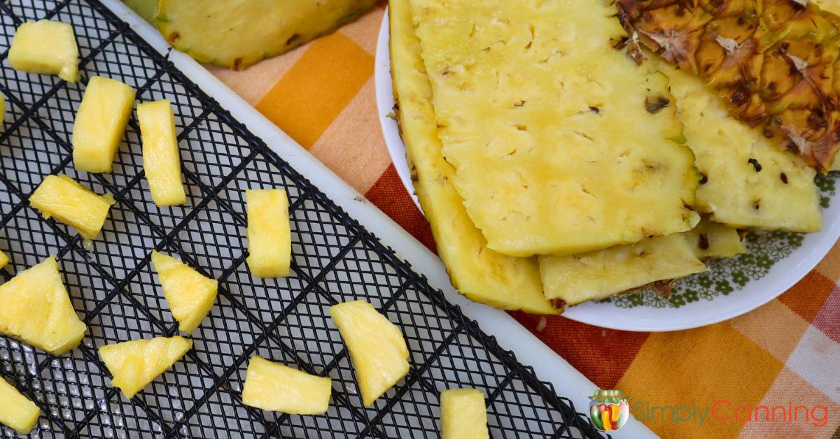Sliced pineapple next to pineapple pieces on a mesh dehydrator tray.