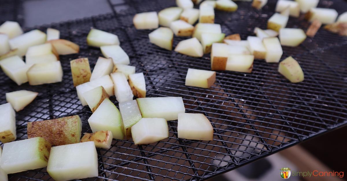 Spreading small pieces of raw potatoes over dehydrator trays.