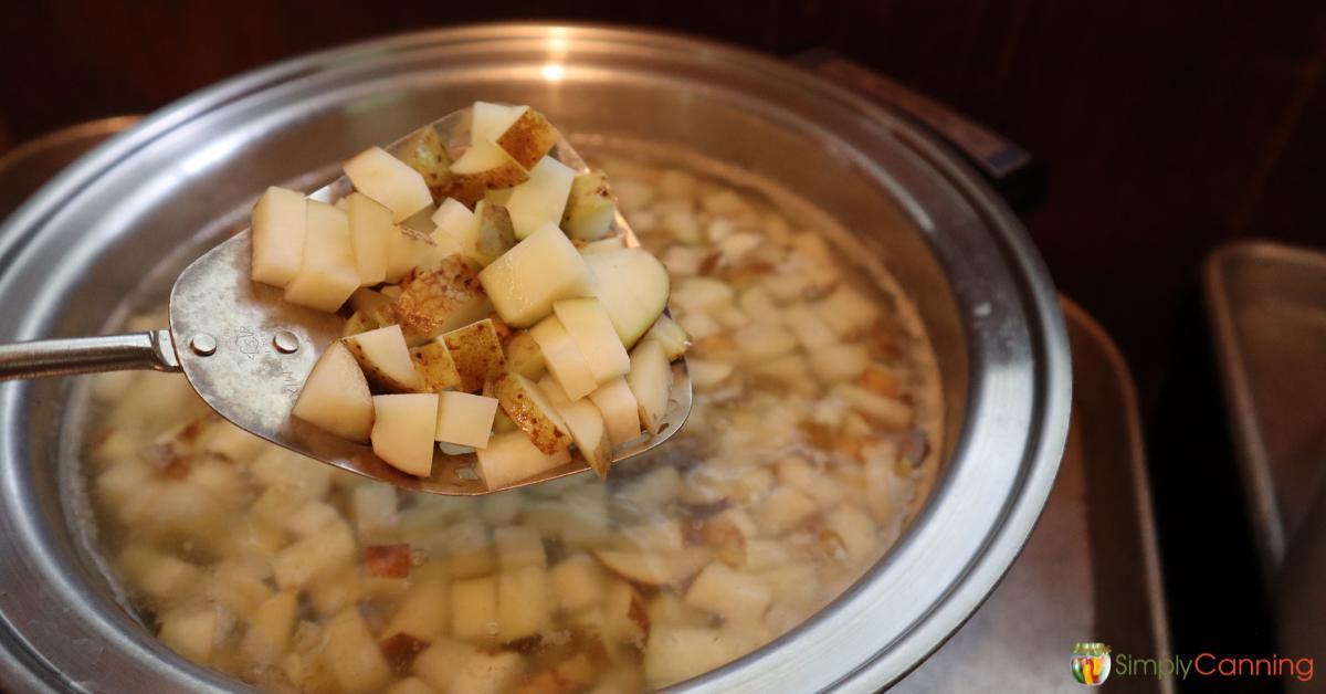 Blanching chunks of potatoes for drying.