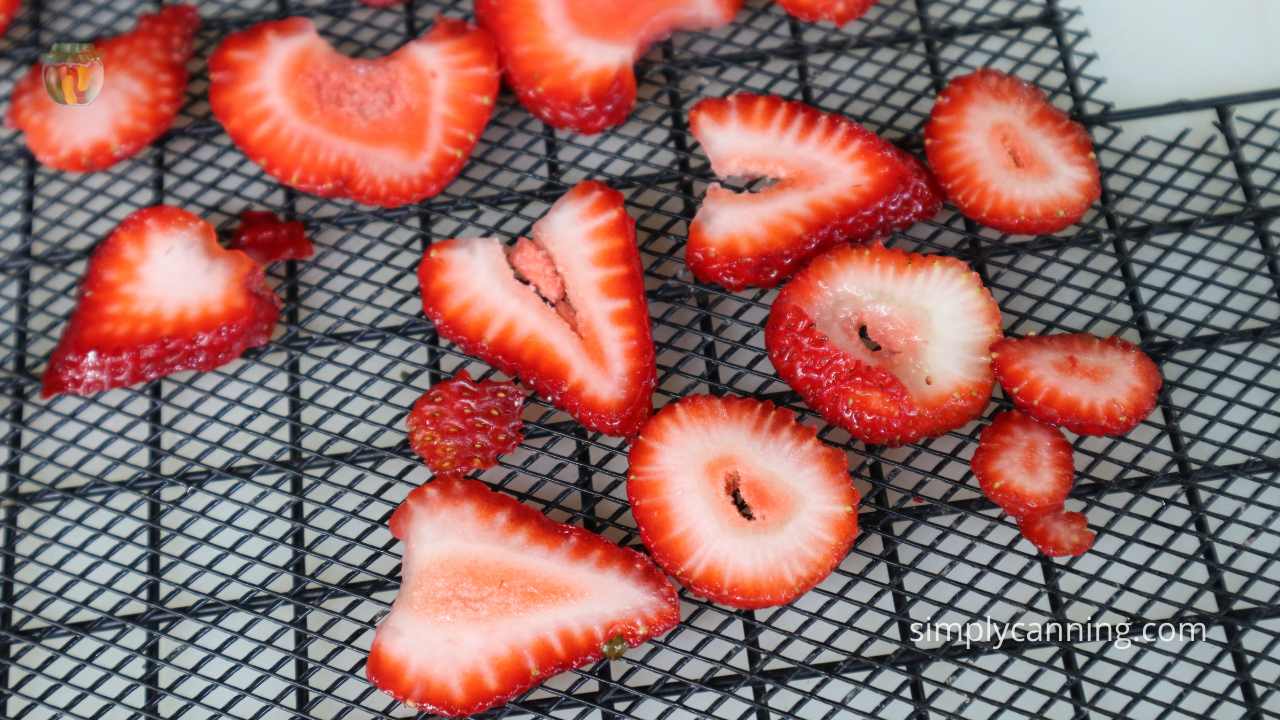 several slices of strawberries on a dehydrator tray showing the difference between horizontal and vertical slices. 