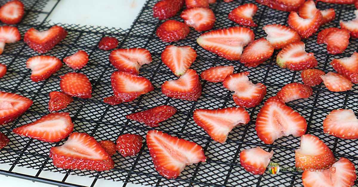 Dehydrating Strawberries