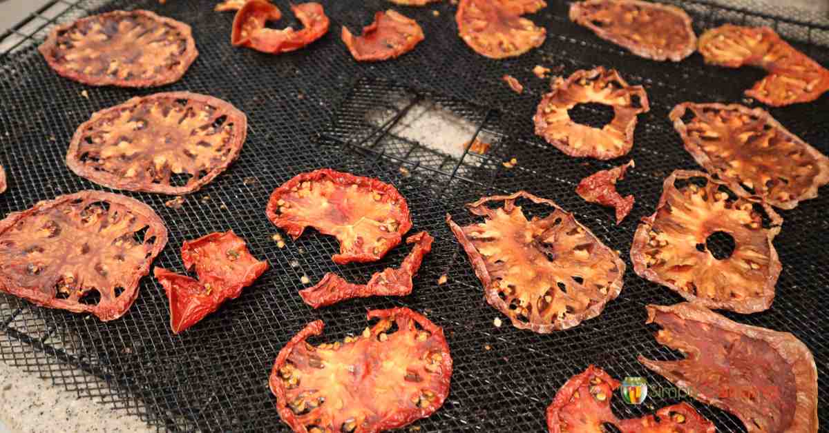 Dehydrating Tomatoes & Make Tomato Powder: