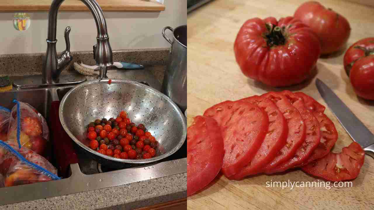 Collage of kitchen scenes: rinsing tomatoes in a sink, sliced tomatoes on a cutting board ready for dehydrating.
