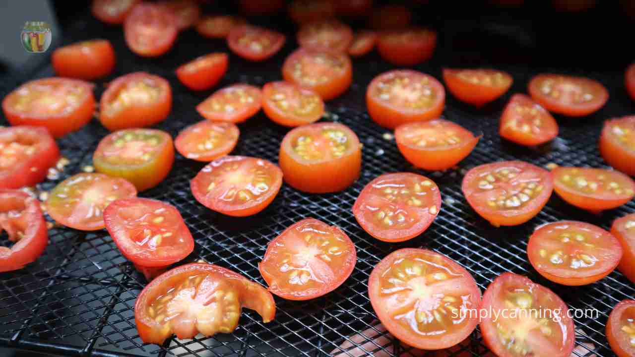 Slices of juicy red tomatoes layered on a dehydrator tray.