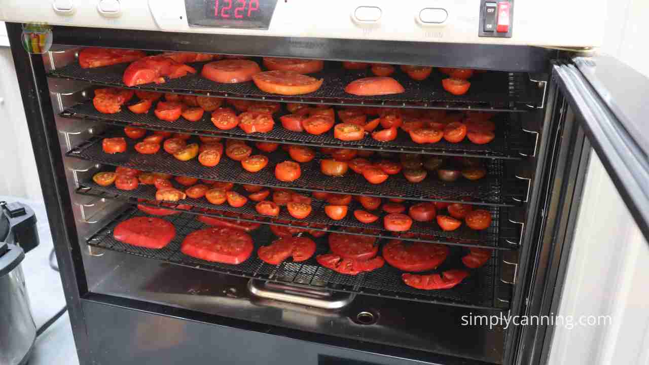 A large oven with fresh tomatoes for dehydrating