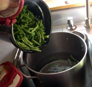 dehydrating vegetables green beans-3