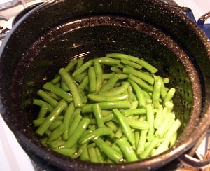 dehydrating vegetables green beans