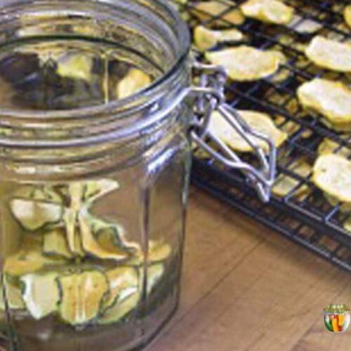 Putting dehydrated zucchini into a snap close jar.
