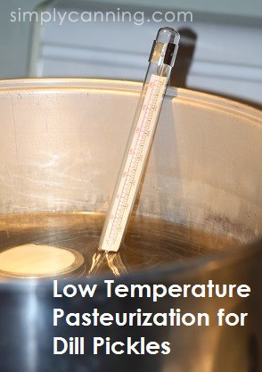 Candy thermometer stuck into a canner filled with water.