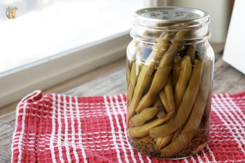 A jar of green beans floating in the dilly brine in the jar.