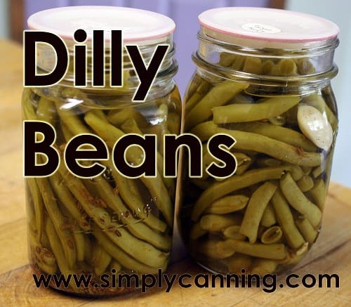 dilly beans