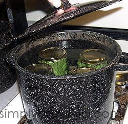 dilly beans6