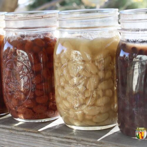 Jars filled with various colors of cooked dry beans.