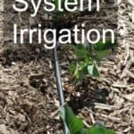 Drip System Irrigation