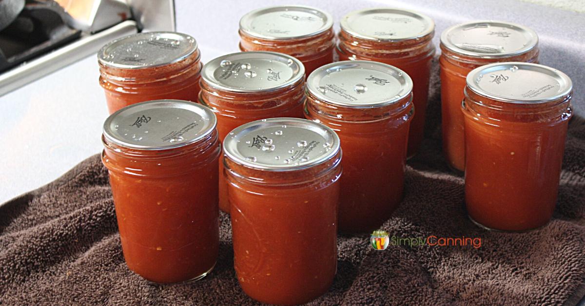 Nine half pints of tomato sauce cooling on a brown towel.