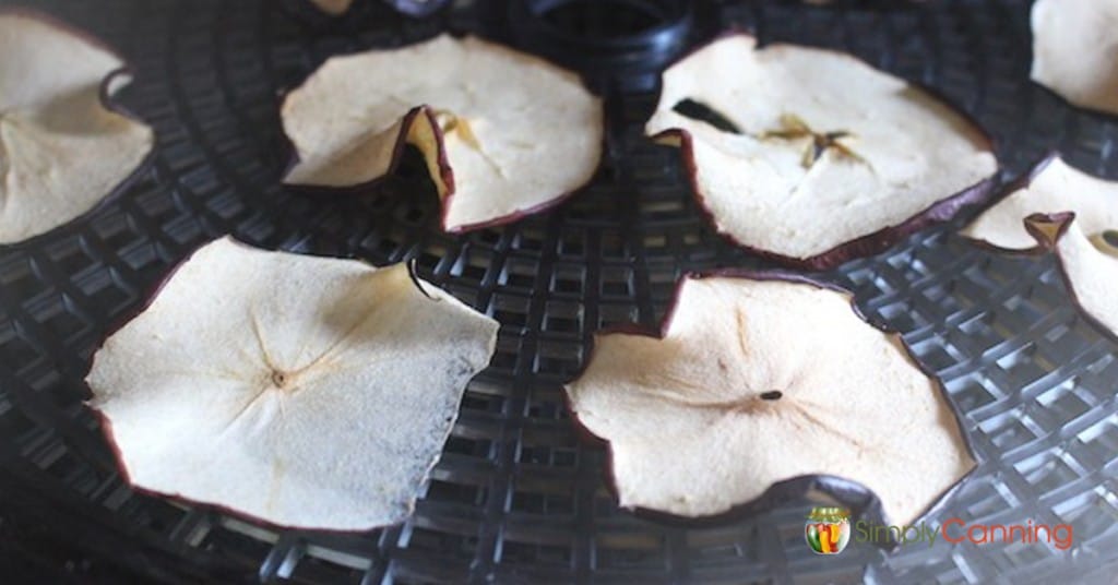 Dried apple slices on a dehydrator tray.